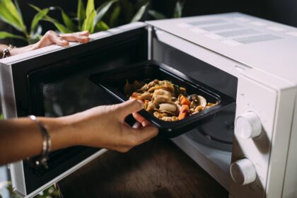 Tovala Smart Oven Editor Review